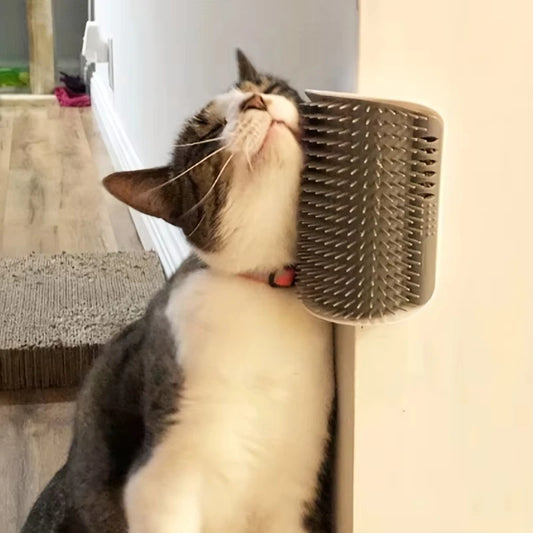 Brosse de toilettage pour chat avec peigne de massage - Idéale pour le toilettage et la relaxation des chatons et des chiots. Fixation murale.